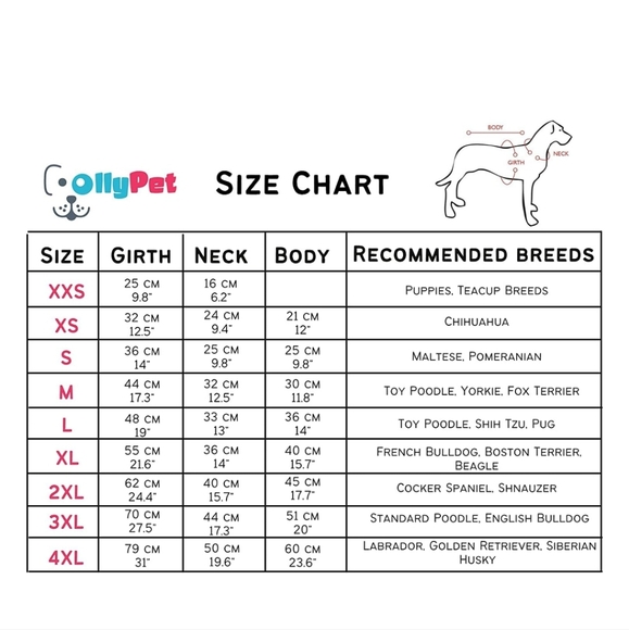 💙4/$20  Cute Dog T-Shirt - Picture 3 of 4